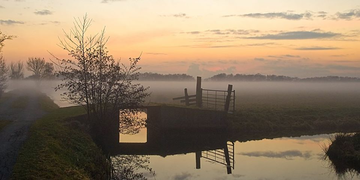 opkomende zon